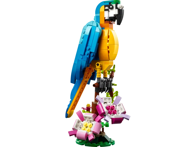 Exotic Parrot