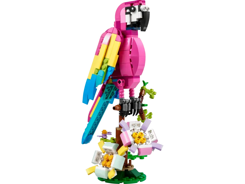 Exotic Pink Parrot
