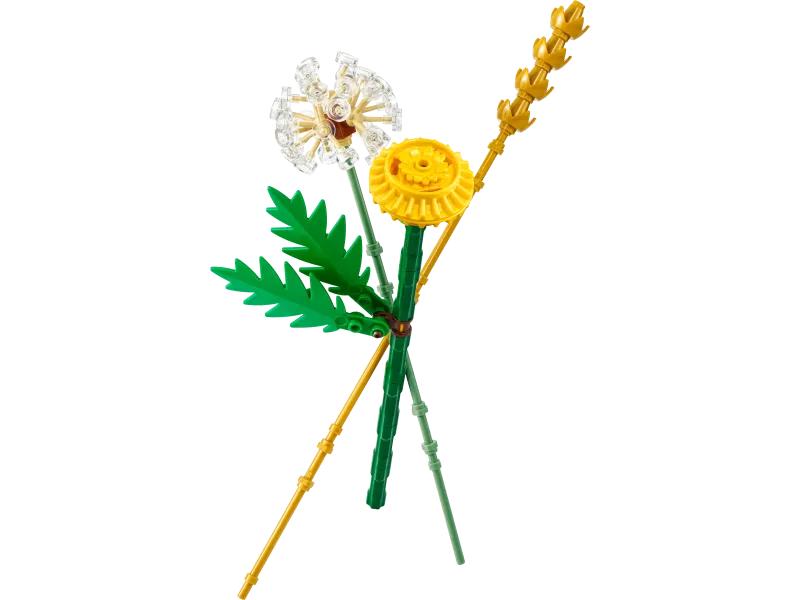 Field Flowers
