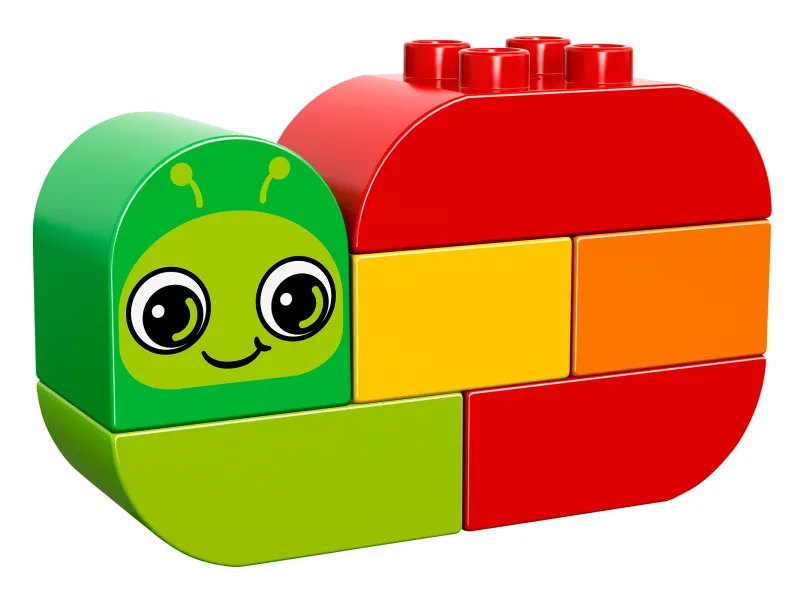 Snail