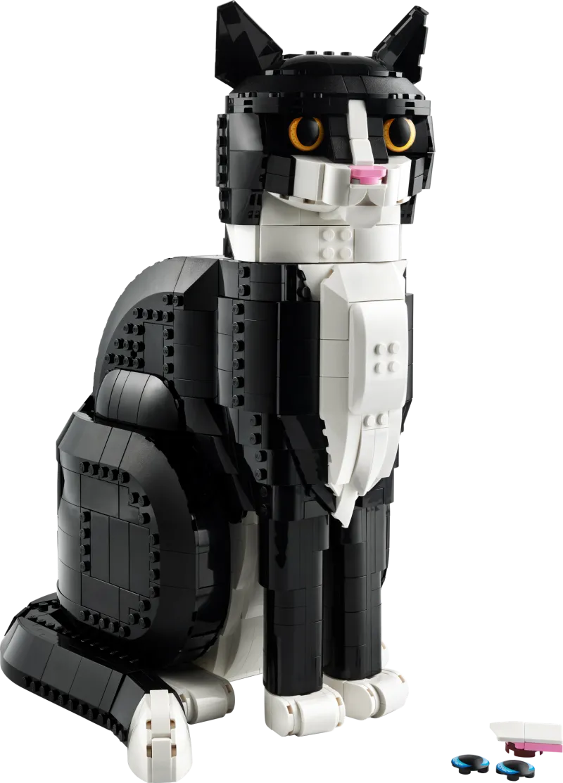 Tuxedo Cat